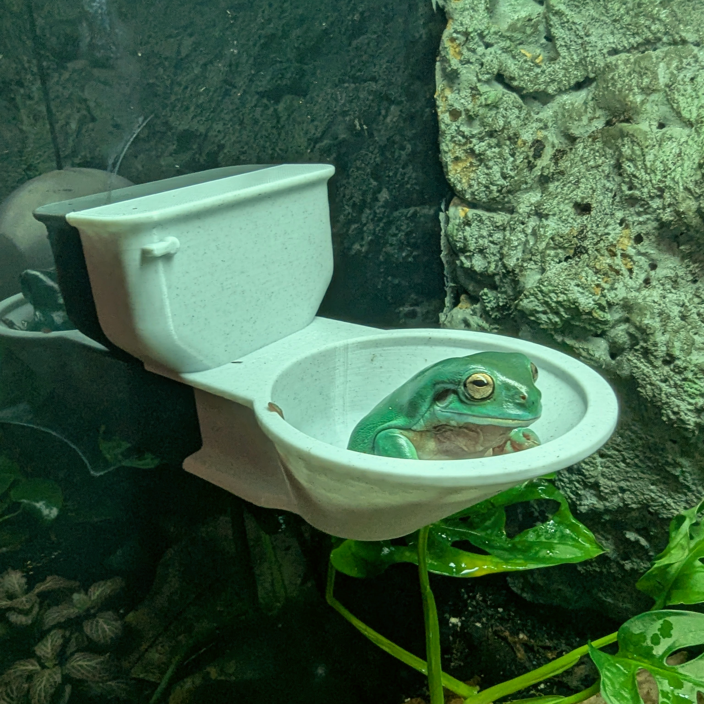Magnetic Tree Frog Toilet Perch