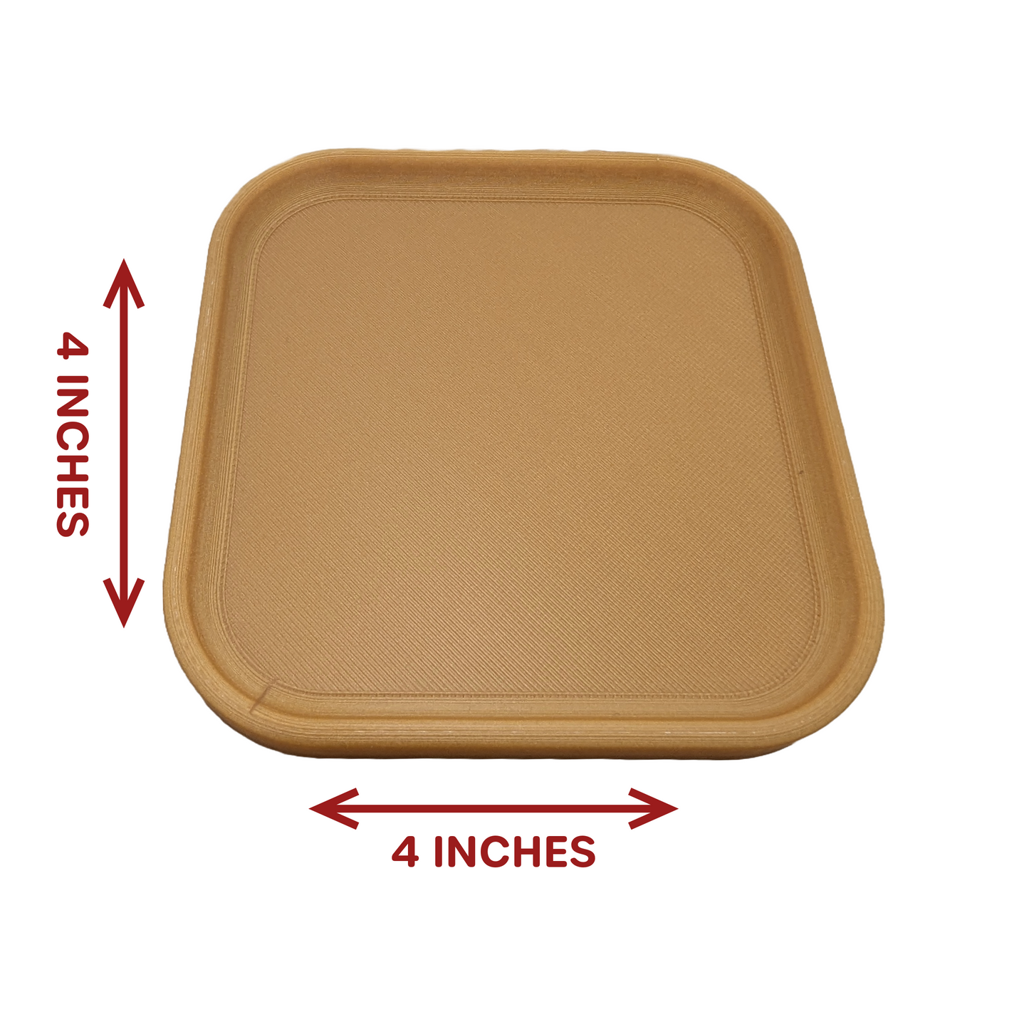 Easy Clean Leopard Gecko Latrine