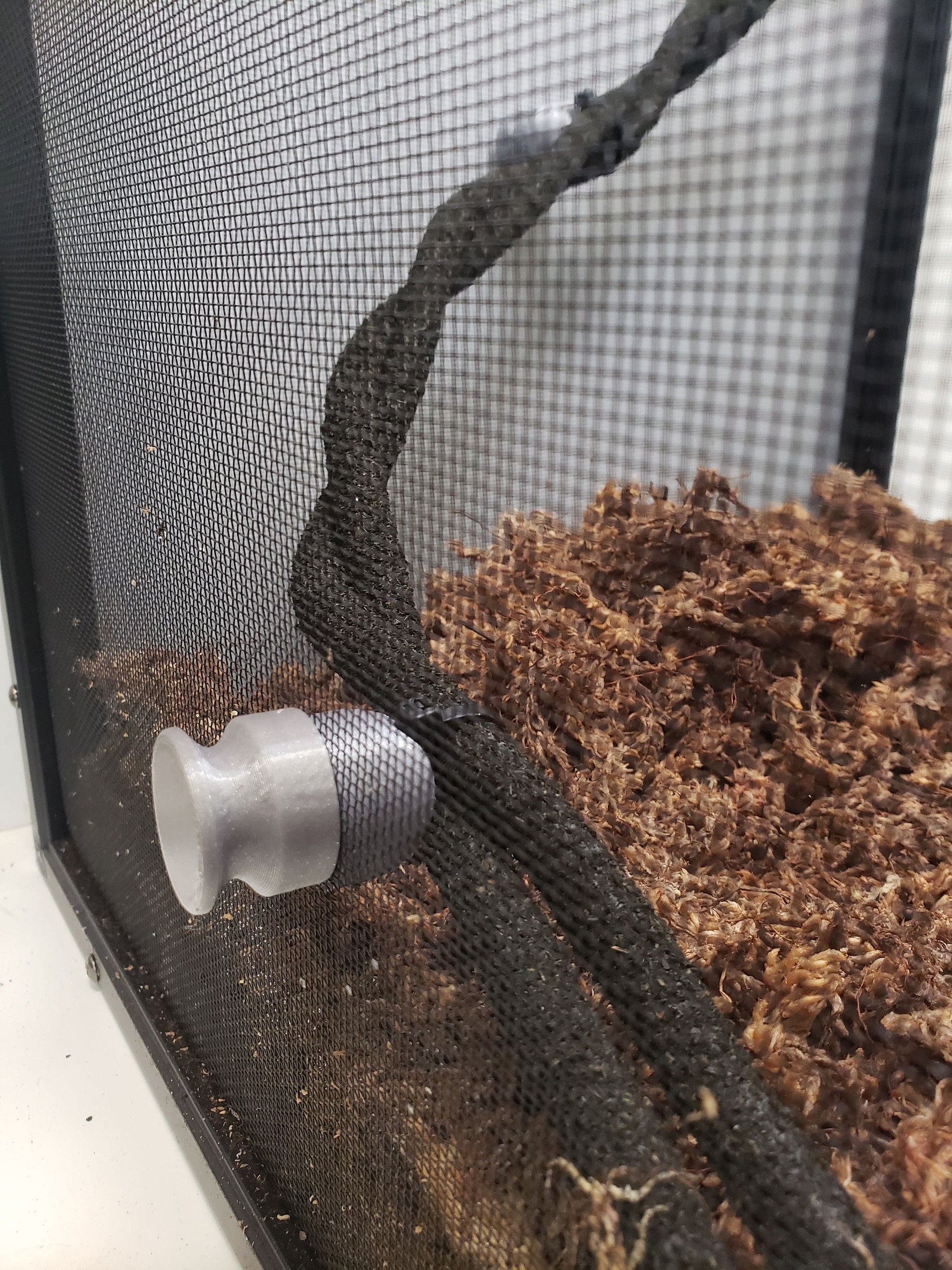Magnetic Reptile Vine Holder