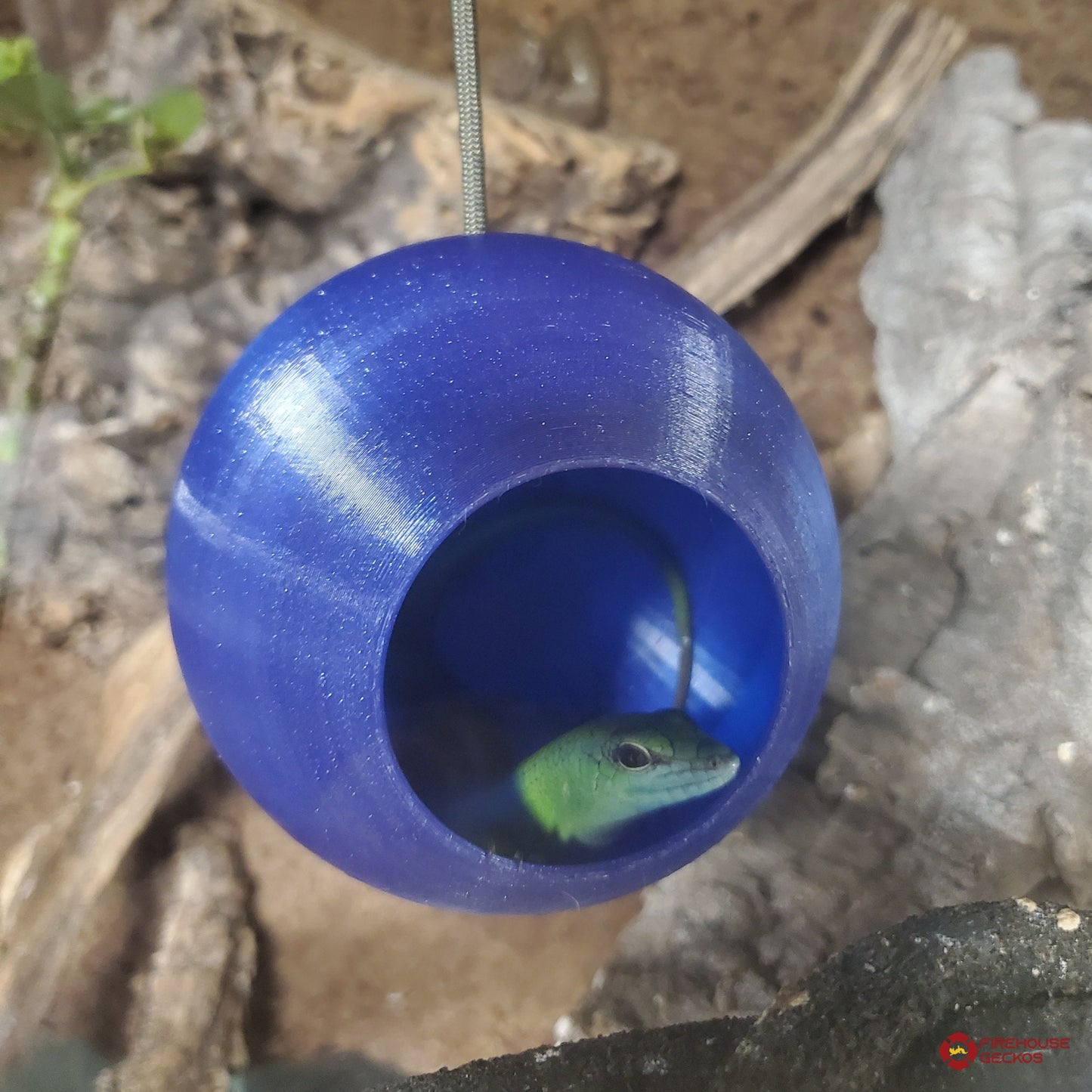 Hanging GeckOrb Reptile Hide