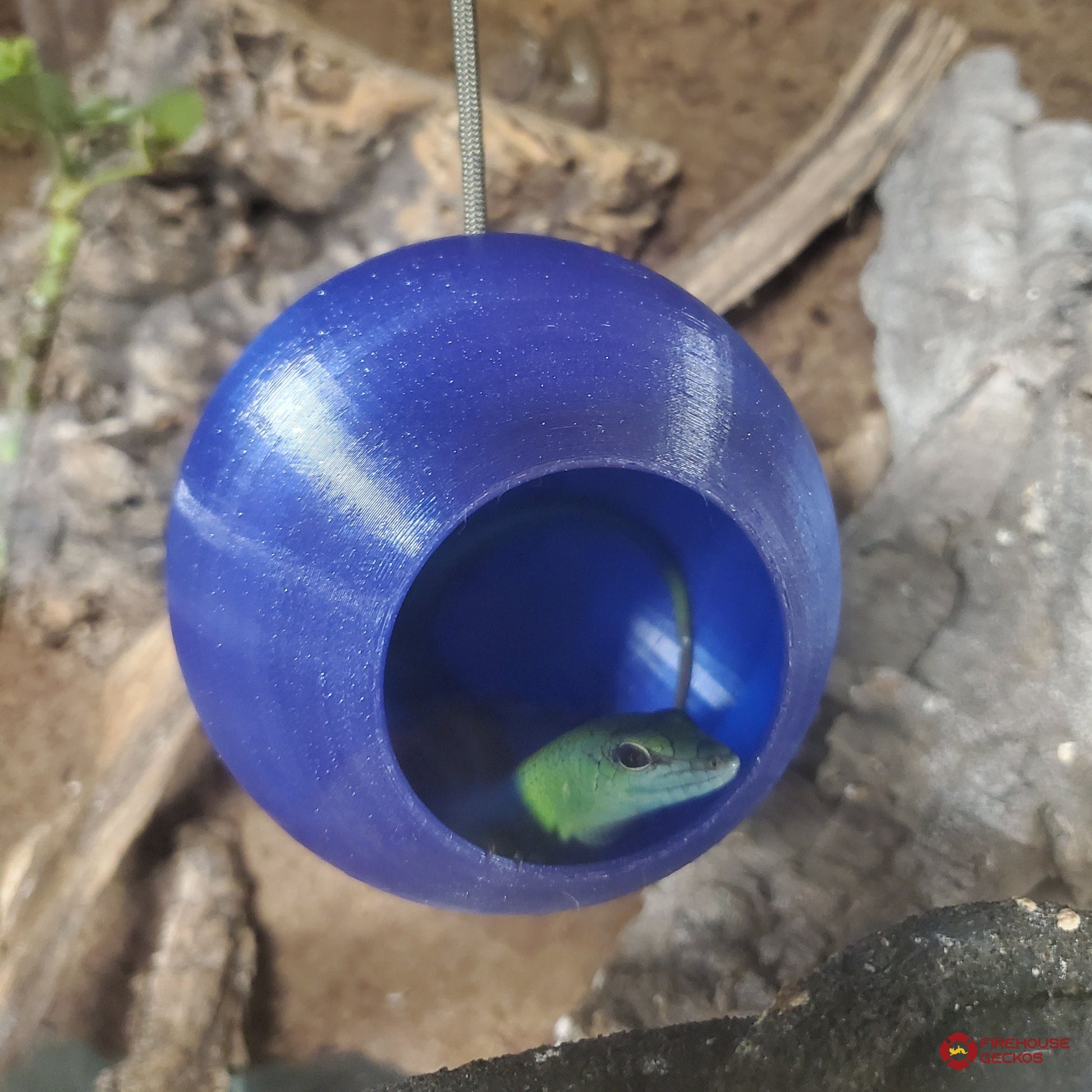 Hanging GeckOrb Reptile Hide