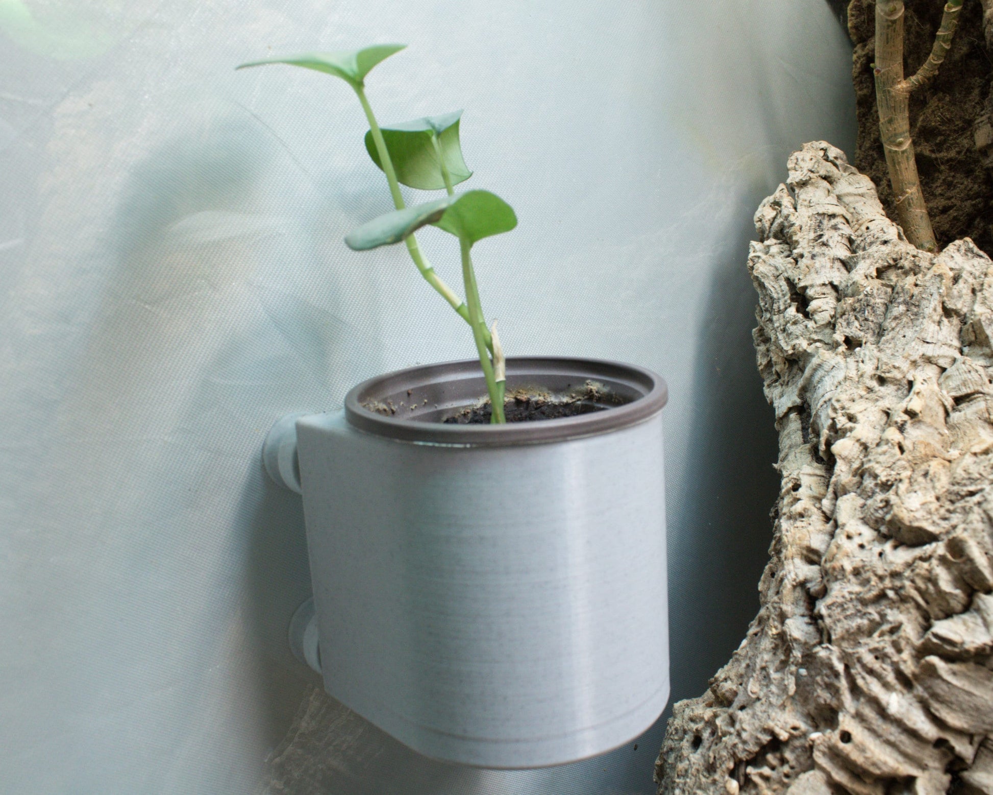 3 Inch Plant Holder