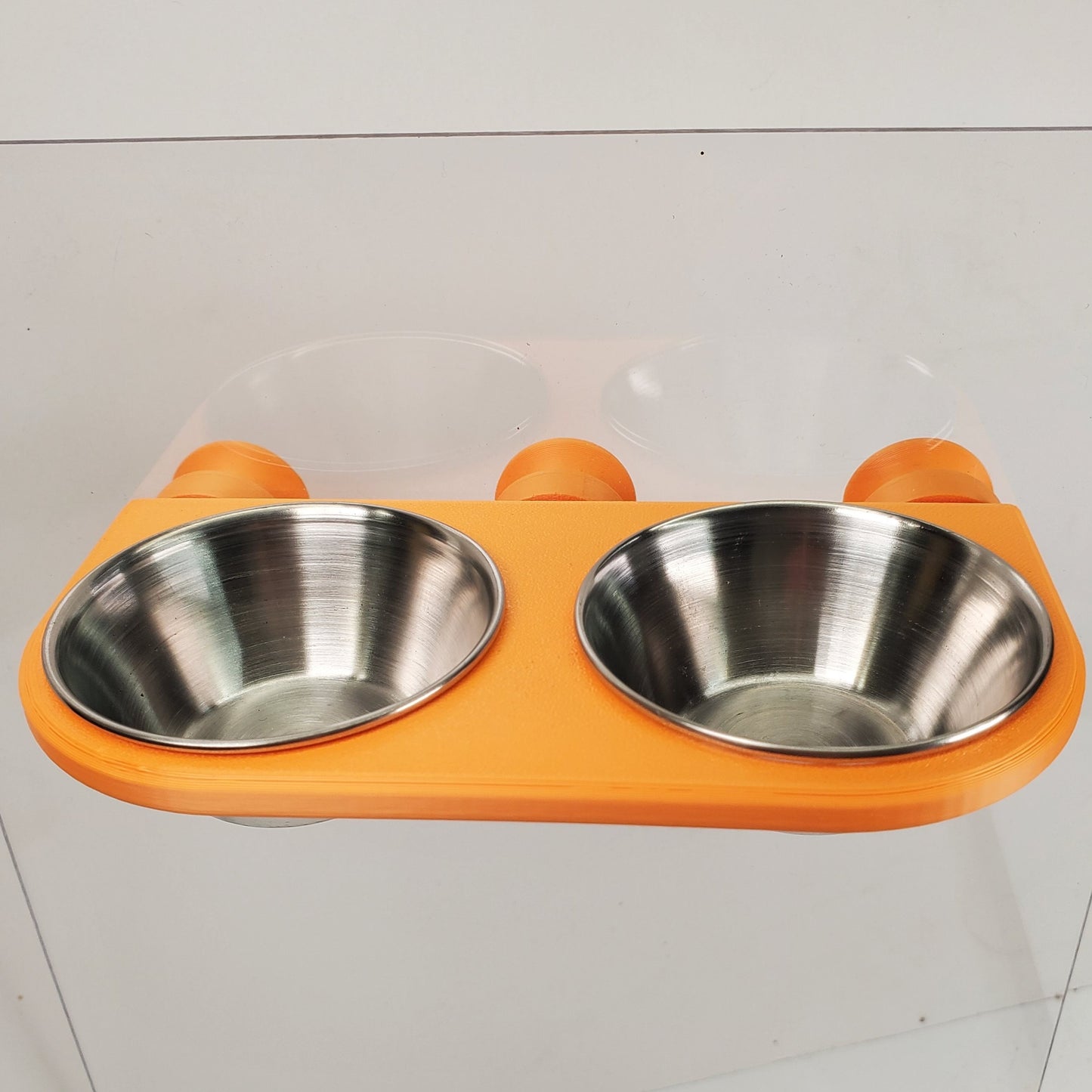 Leachie Feeding Ledge