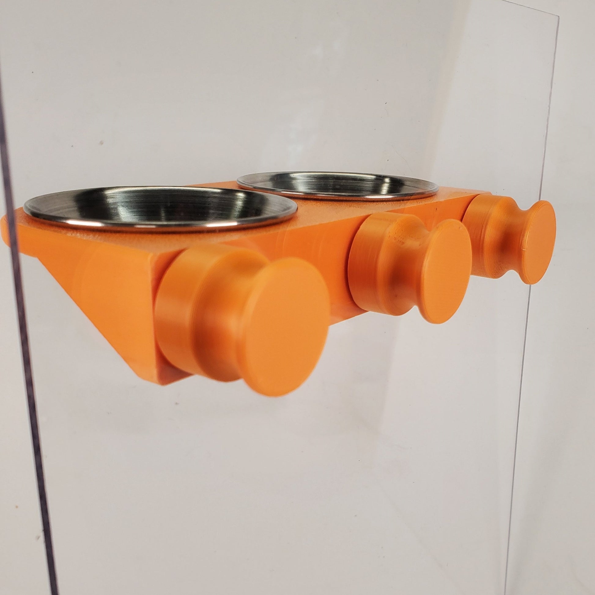 Leachie Feeding Ledge