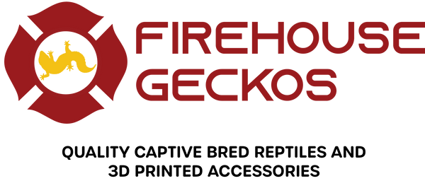 Firehouse Geckos