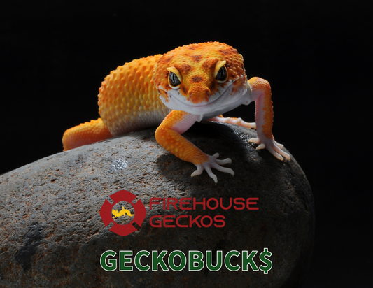 Firehouse Geckos Gift Card