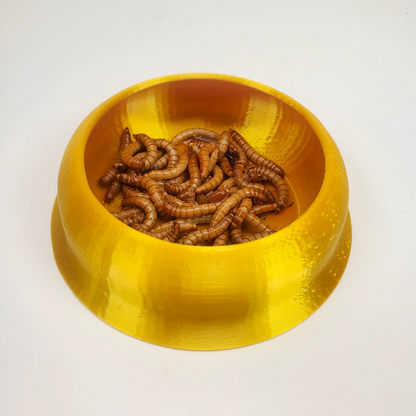 4 Pack of Tip-Resistant Mealworm Bowls