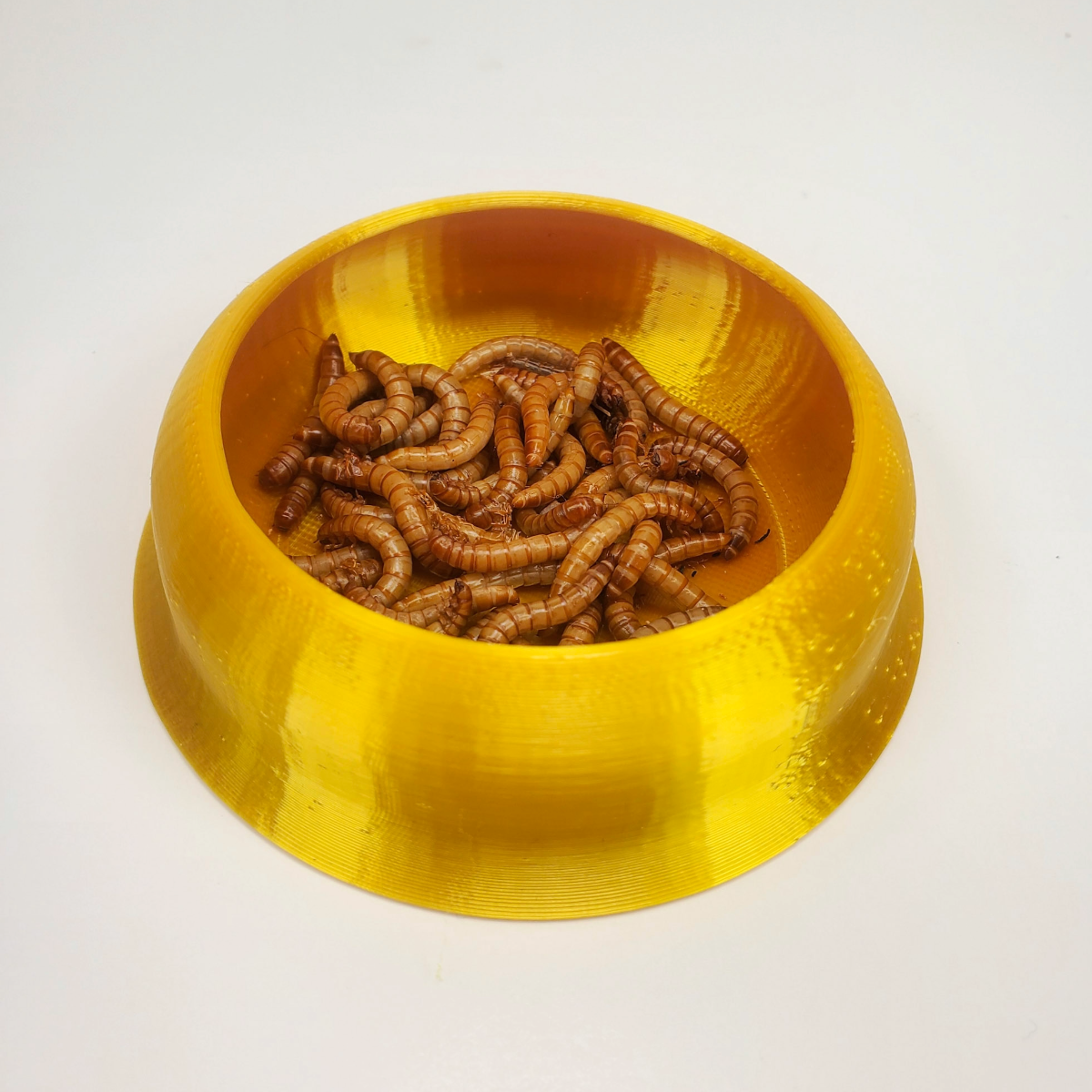 Tip-Resistant Mealworm Bowl