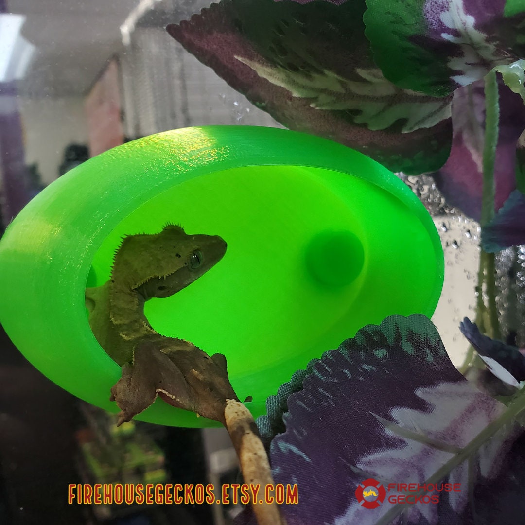 GeckOrb Magnetic Reptile Hide