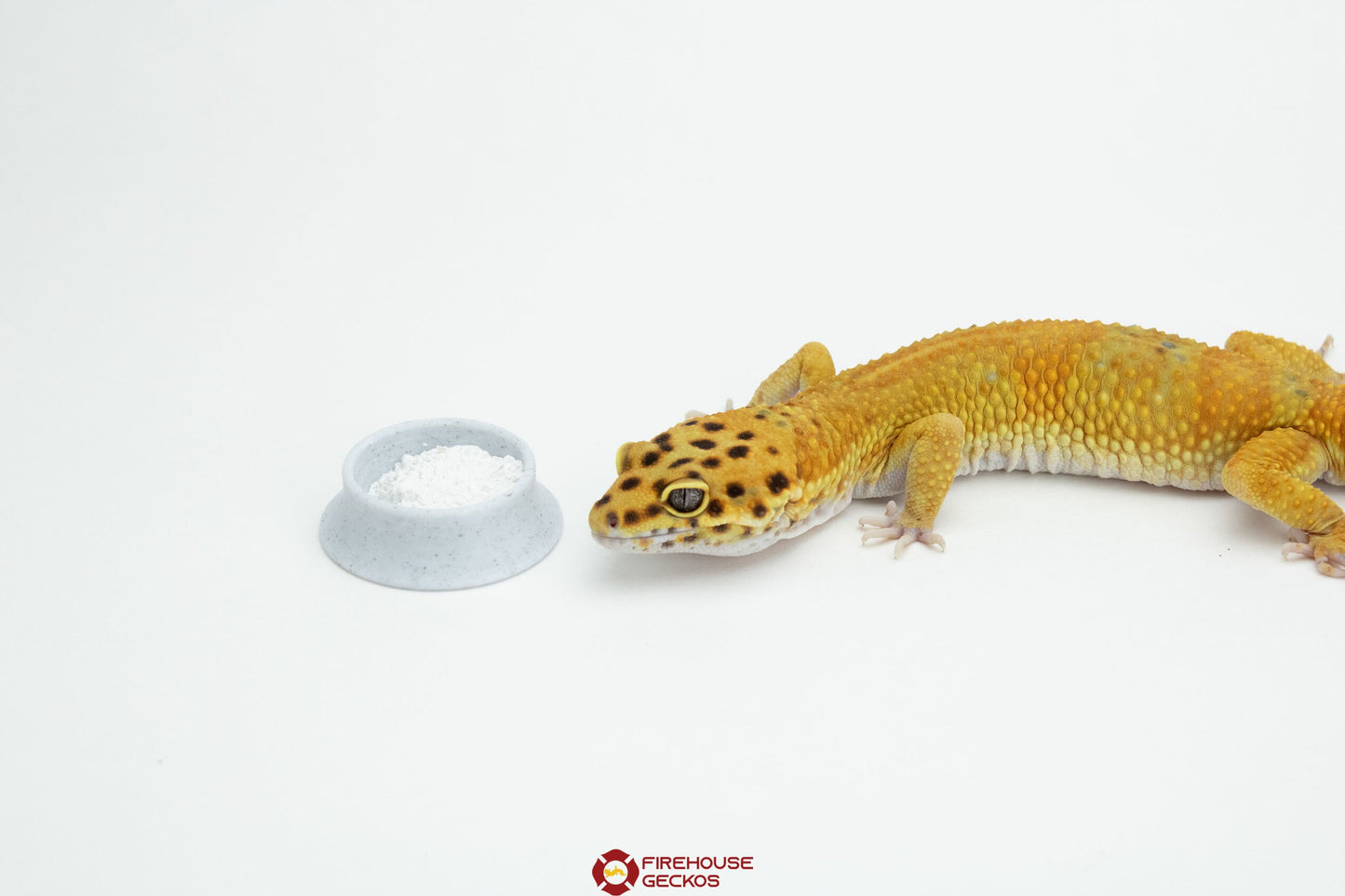 Tip-Resistant Calcium Dish