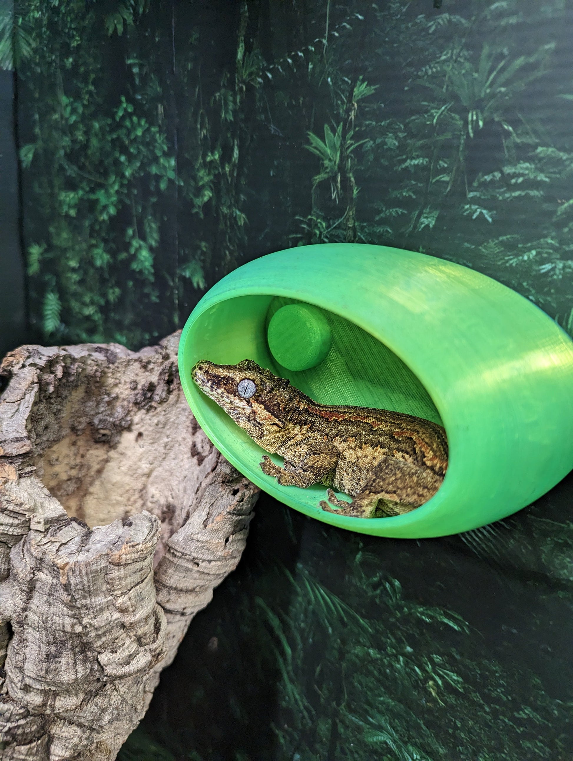 GeckOrb Magnetic Reptile Hide