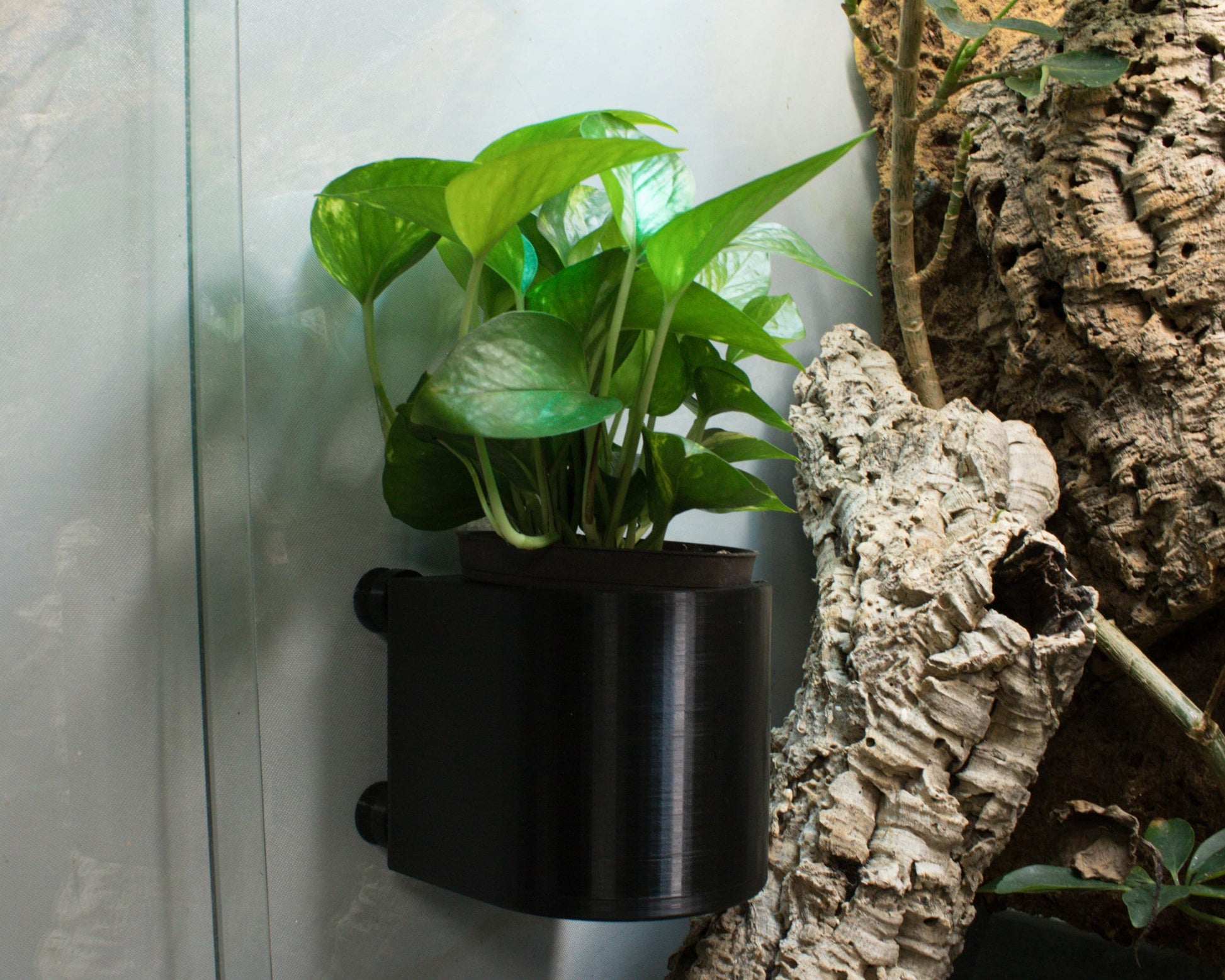 magnetic succulent planter 4 Inch Magnetic Plant Holder – Firehouse Geckos
