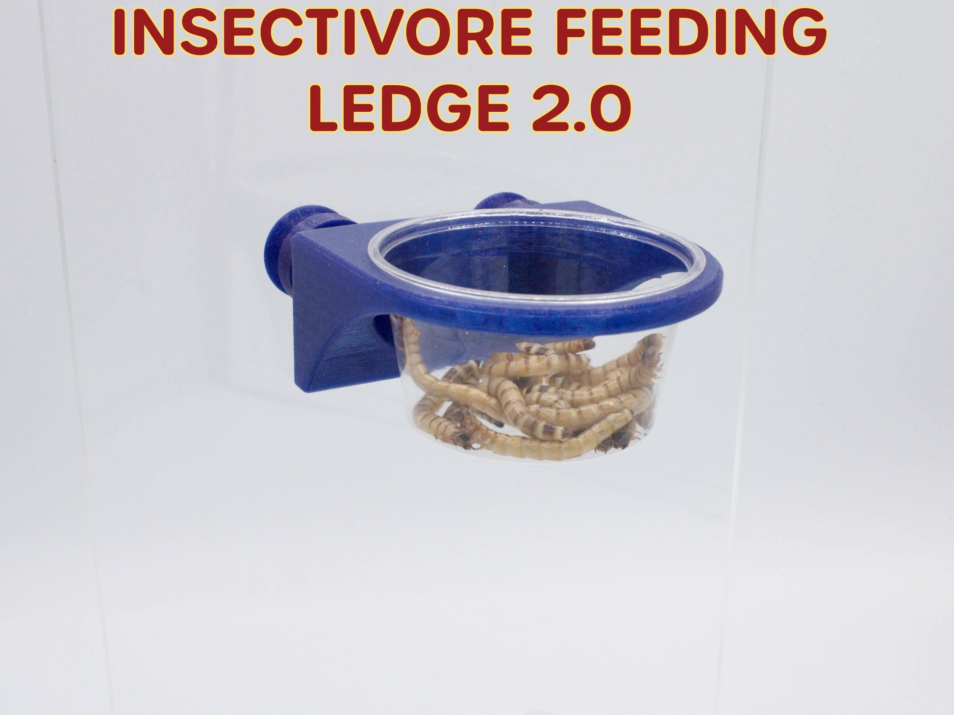 Insectivore Feeding Ledge 2.0