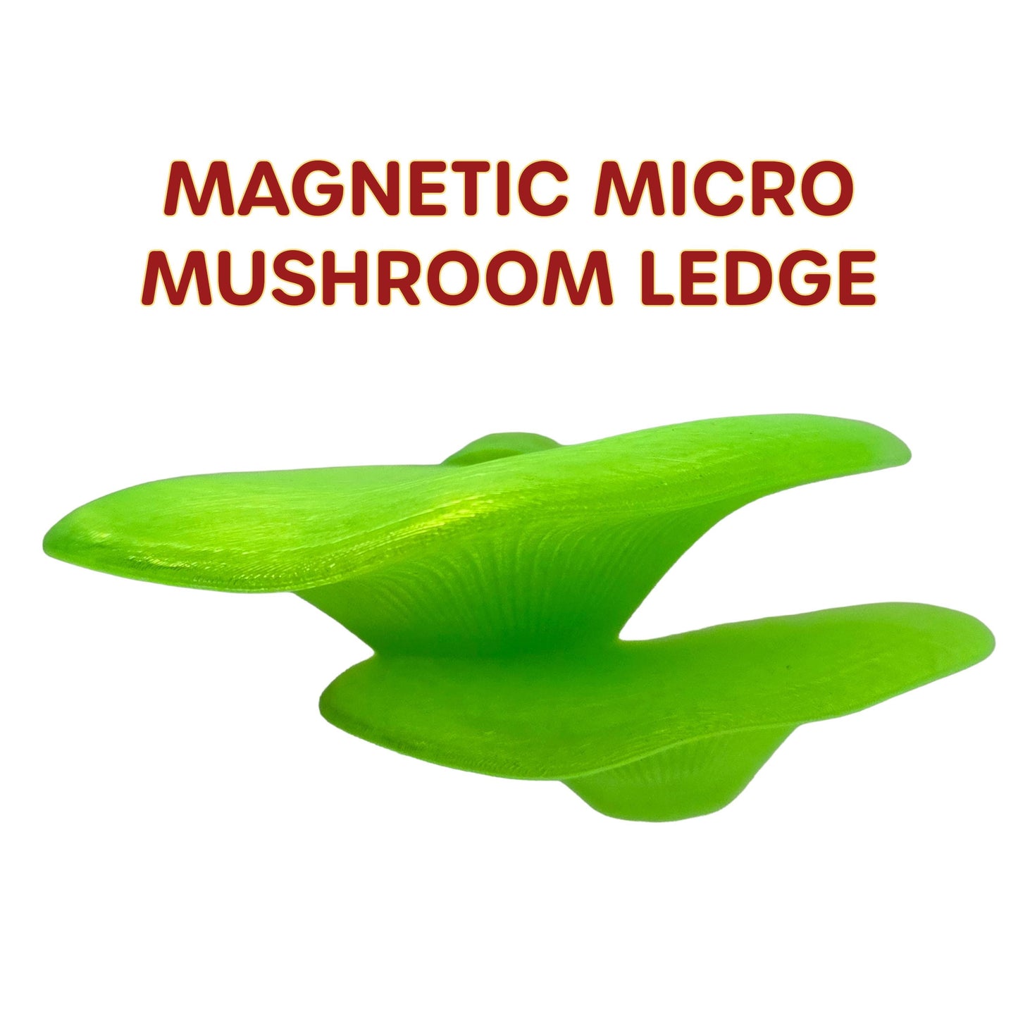 Magnetic Micro Mushroom Ledge