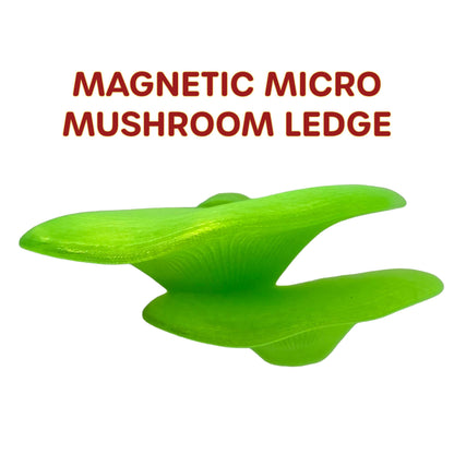 Magnetic Micro Mushroom Ledge