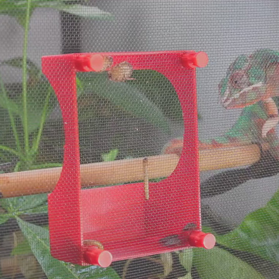 Magnetic Chameleon Feeder