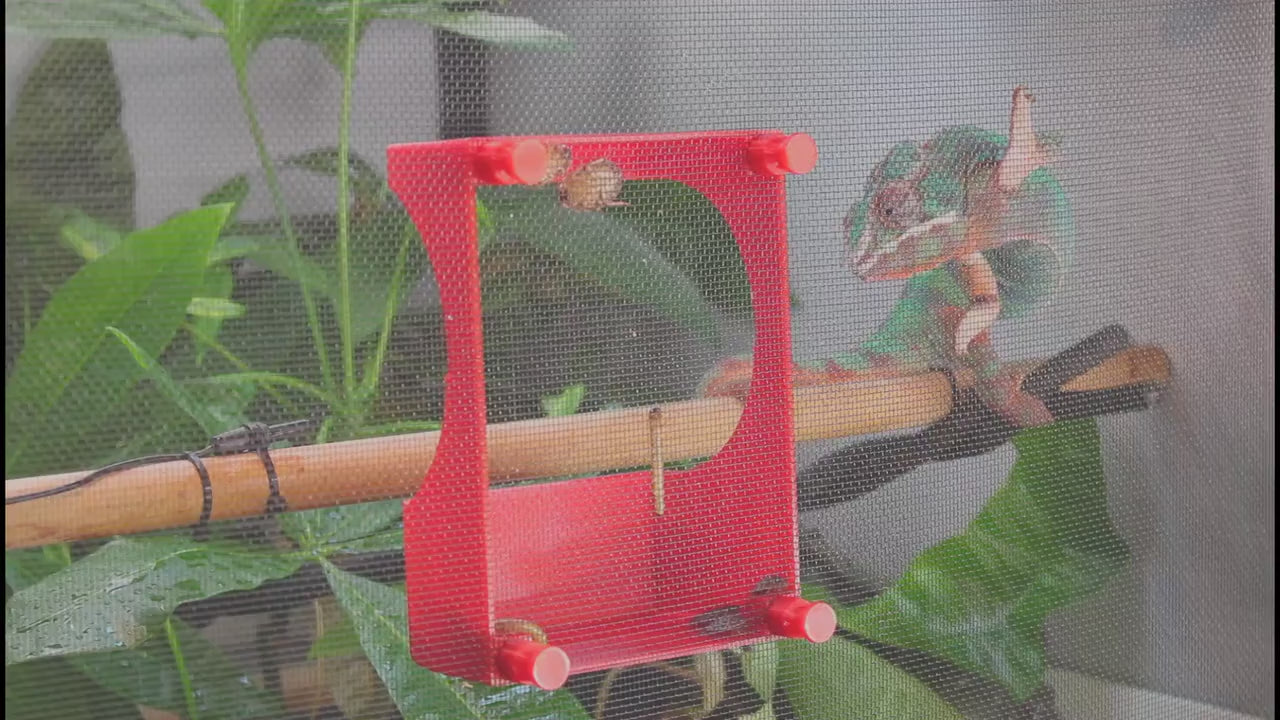 Magnetic Chameleon Feeder